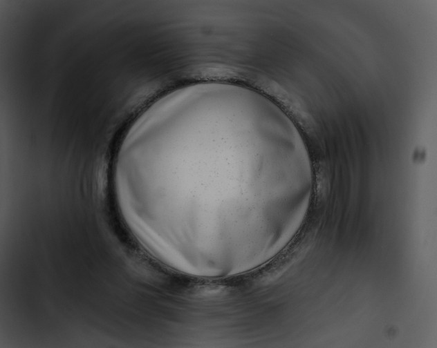 X0000102820206200809081139