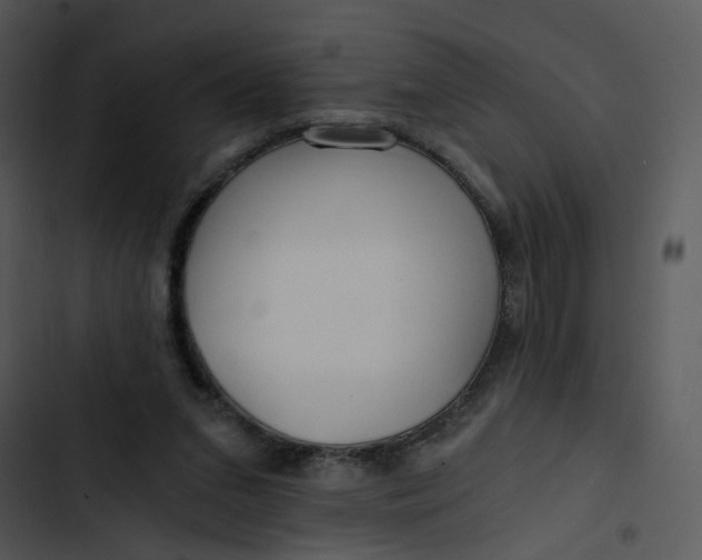 X0000102820207200809081139