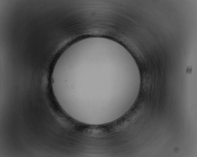 X0000102820208200809081139