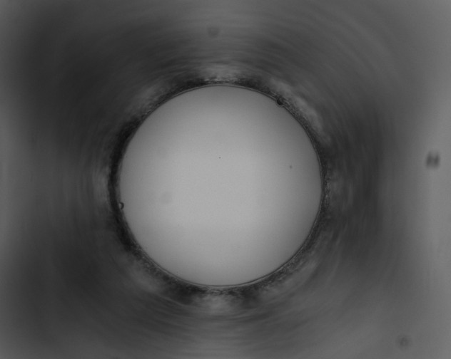 X0000102820209200809081139