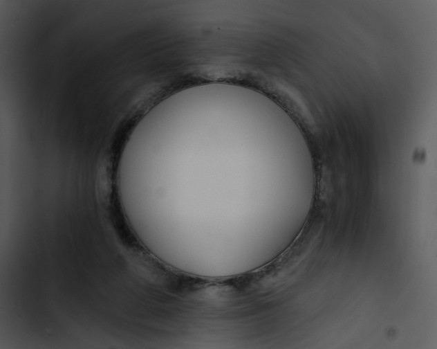 X0000102820210200809081139