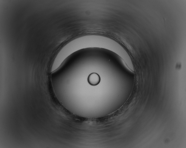 X0000102820211200809081139