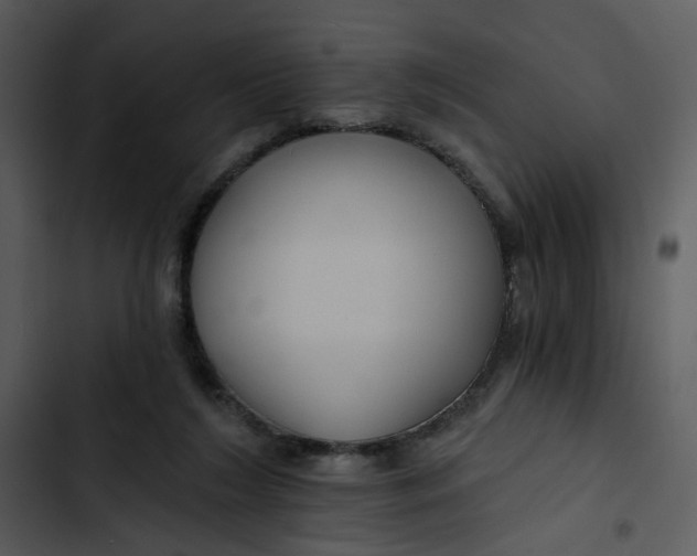 X0000102820212200809081139