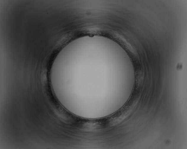 X0000102820213200809081139