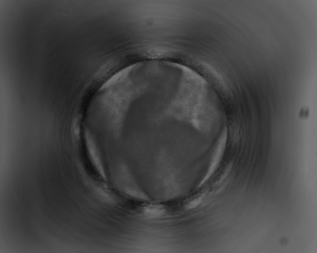 X0000102820214200809081139