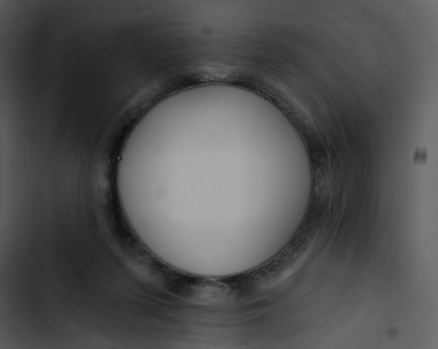 X0000102820215200809081139