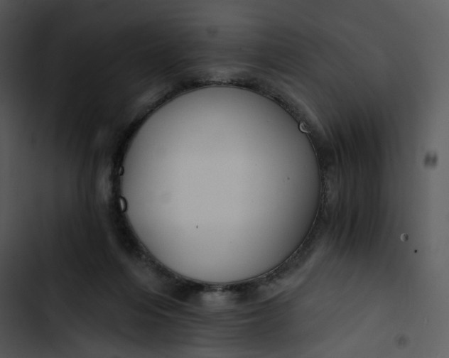 X0000102820216200809081139