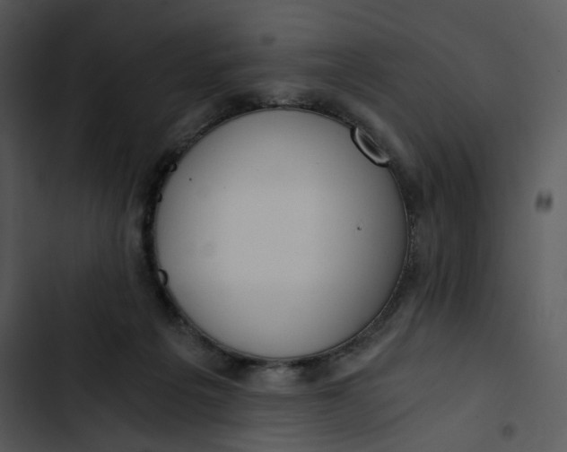 X0000102820217200809081139