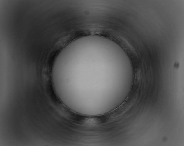 X0000102820218200809081139