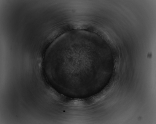 X0000102820219200809081139