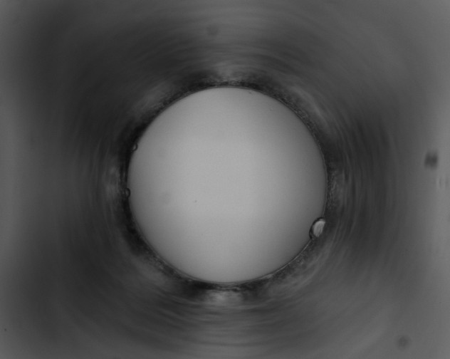 X0000102820220200809081139