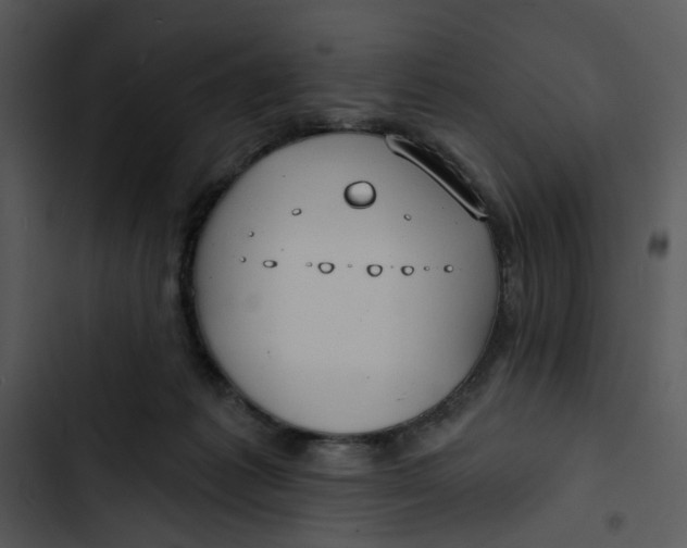 X0000102820221200809081139