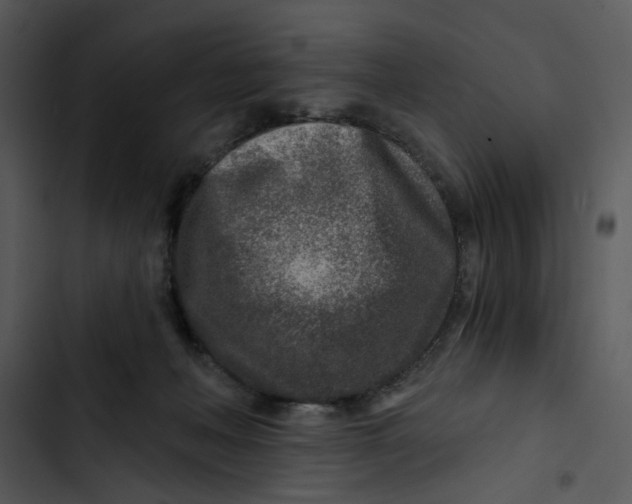 X0000102820222200809081139