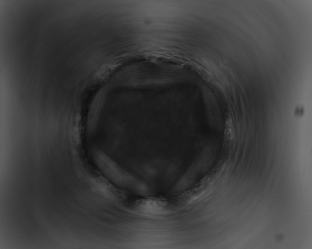 X0000102820223200809081139