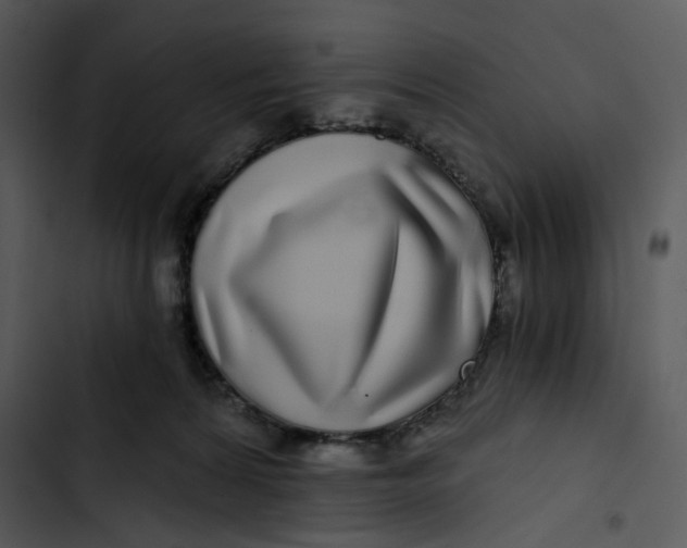 X0000102820224200809081139