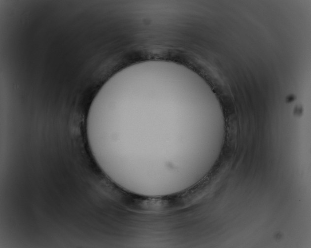 X0000102820225200809081139