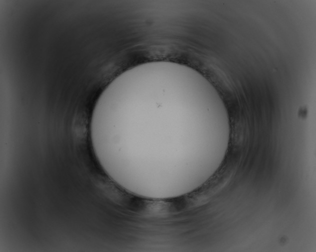 X0000102820226200809081139