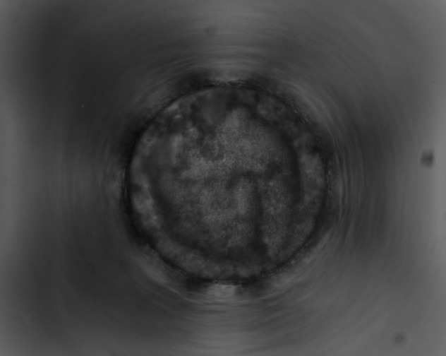 X0000102820227200809081139