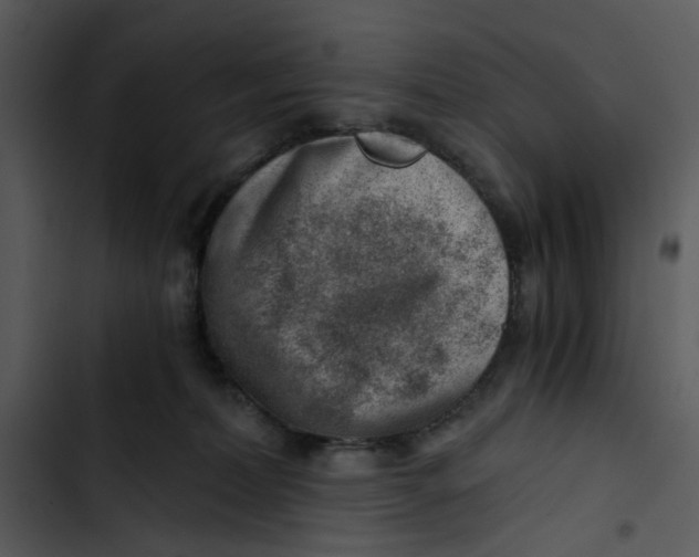 X0000102820228200809081139