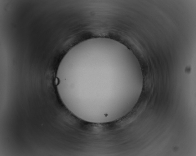 X0000102820229200809081139