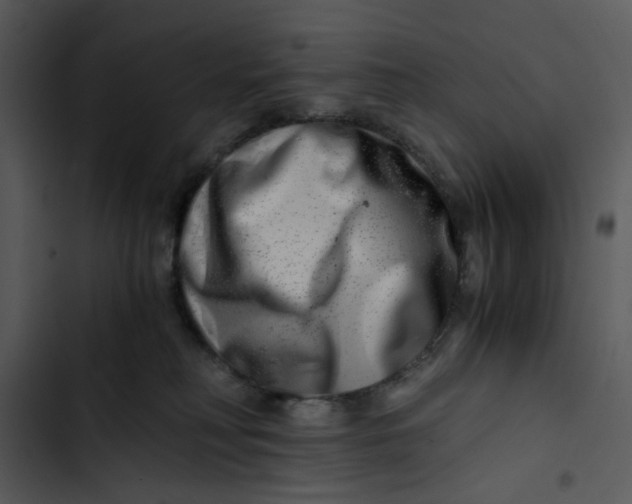 X0000102820230200809081139