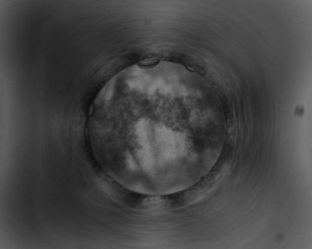 X0000102820231200809081139