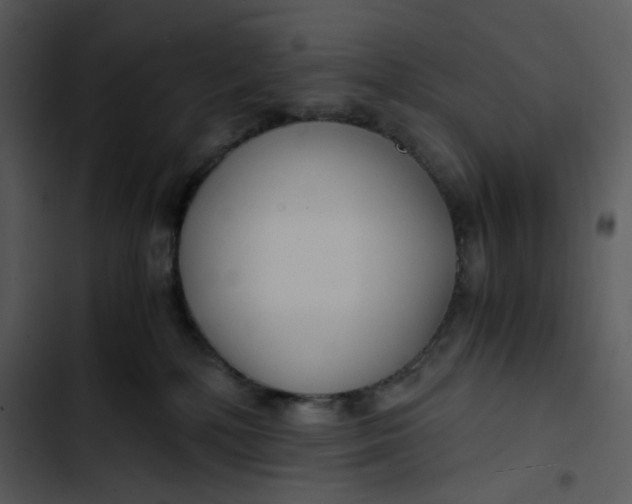 X0000102820232200809081139