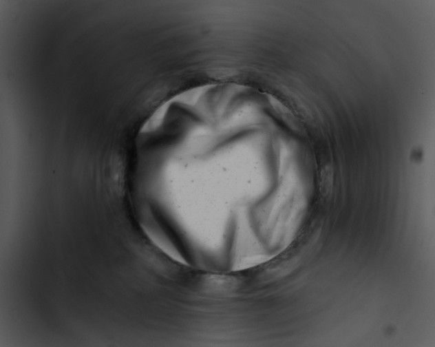 X0000102820234200809081139