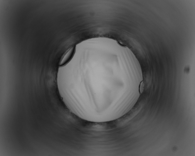 X0000102820236200809081139