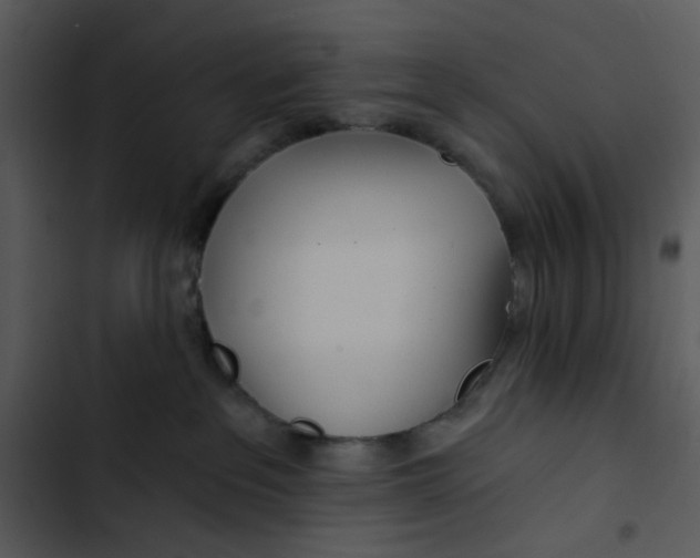 X0000102820237200809081139