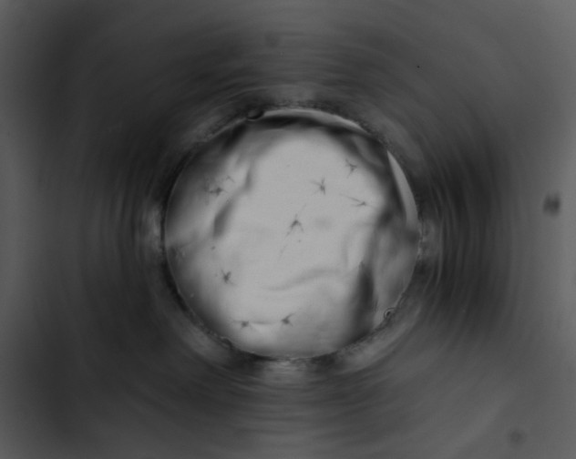 X0000102820238200809081139