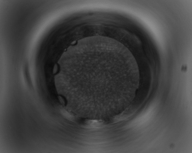 X0000102820239200809081138