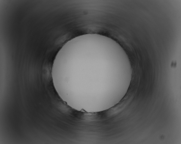 X0000102820240200809081138