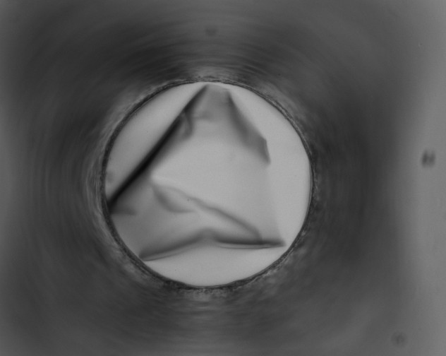 X0000102820241200809081138