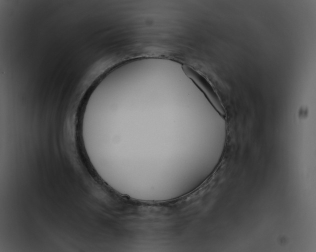 X0000102820242200809081138