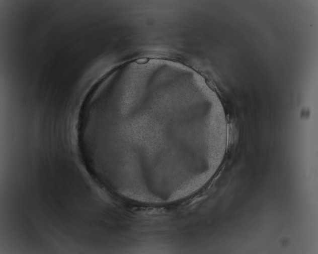 X0000102820243200809081138