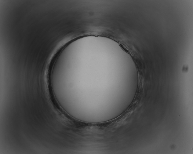 X0000102820244200809081138