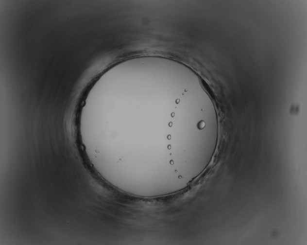 X0000102820245200809081138