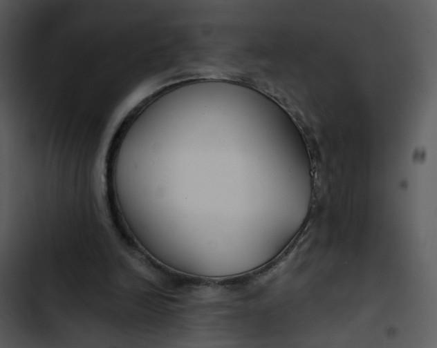 X0000102820246200809081138