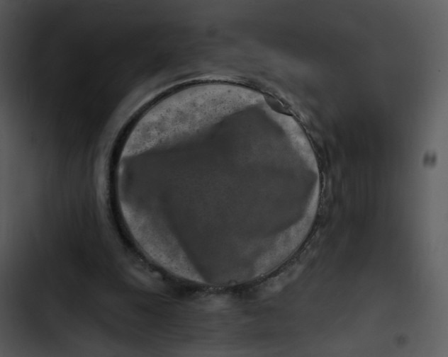 X0000102820247200809081138