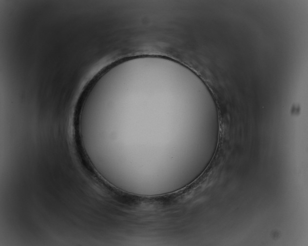 X0000102820248200809081138