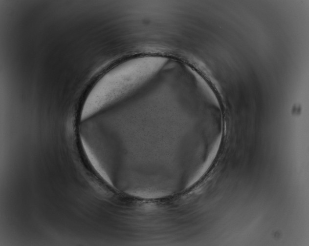 X0000102820249200809081138