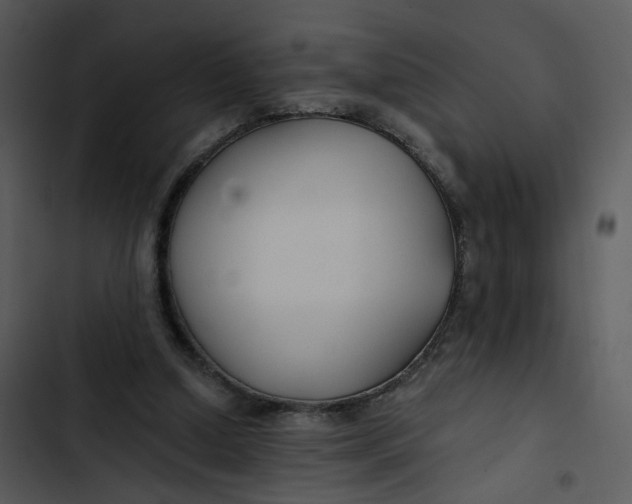 X0000102820250200809081138