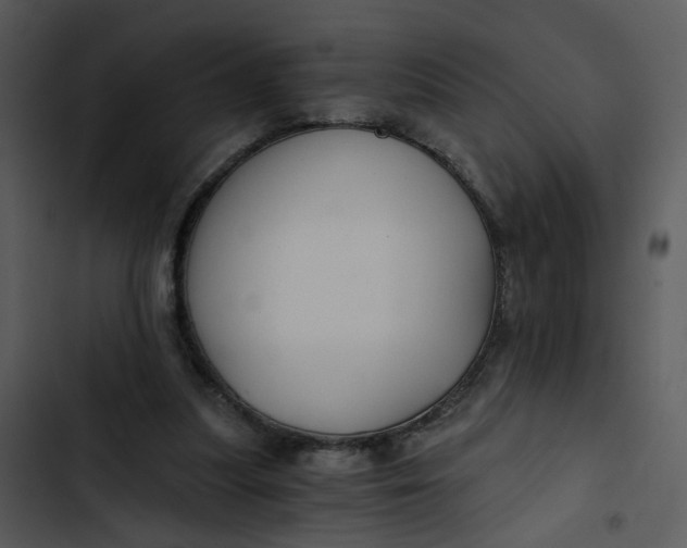 X0000102820251200809081138