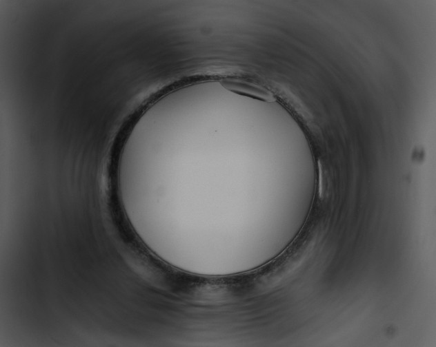 X0000102820252200809081138