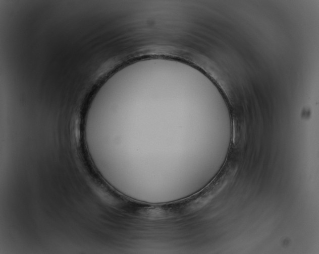 X0000102820253200809081138