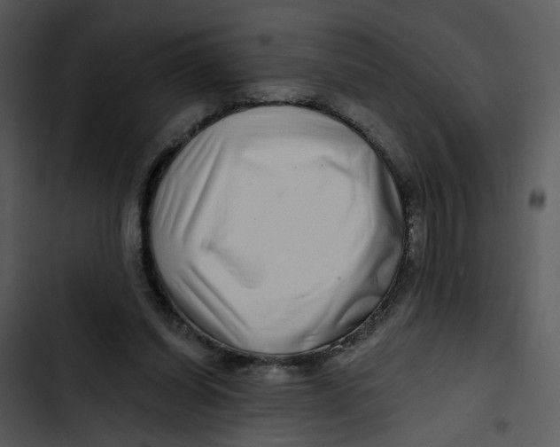 X0000102820254200809081138