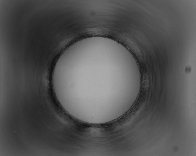 X0000102820255200809081138