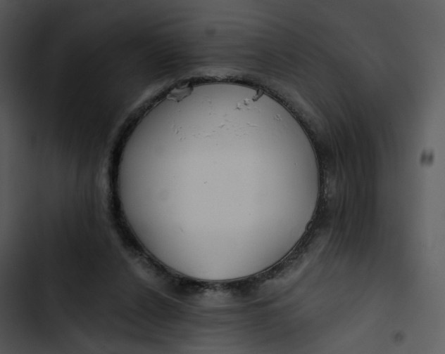 X0000102820256200809081138