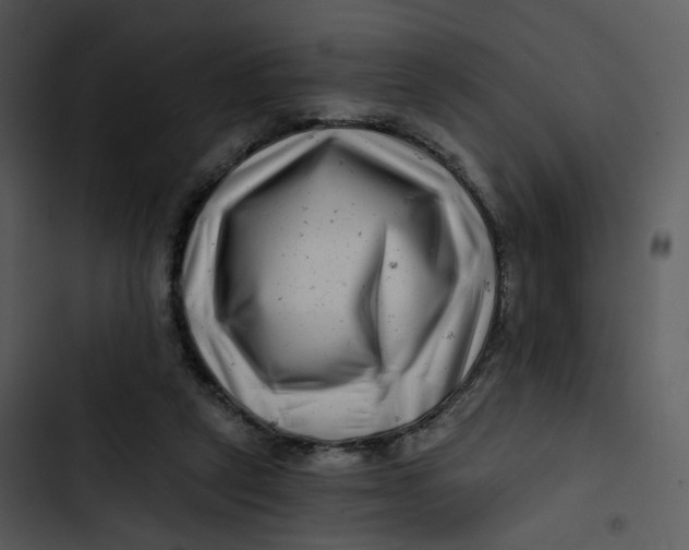 X0000102820257200809081138